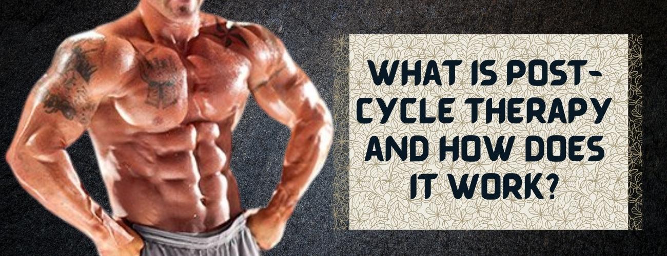 What Is Post-Cycle Therapy and How Does It Work